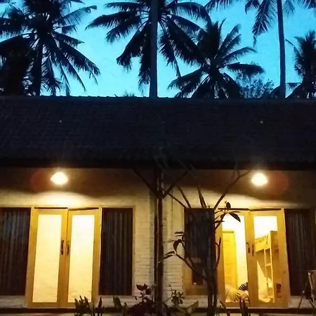 Jungle House - Surf & Stay