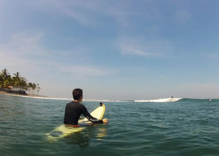 Jungle House - Surf &