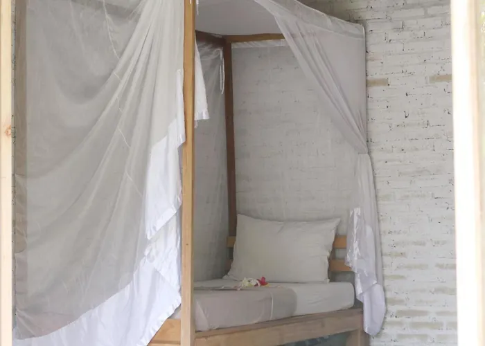 Hostal Jungle House - Surf & *