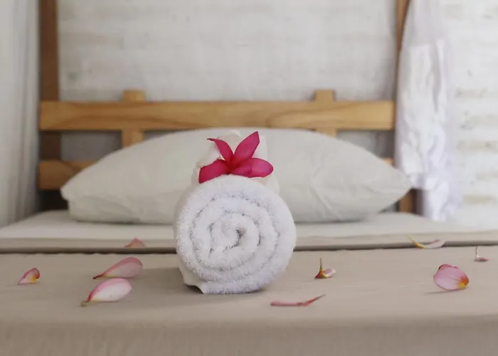 Hostal Jungle House - Surf &