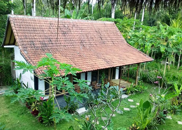 Jungle House - Surf & Hostal