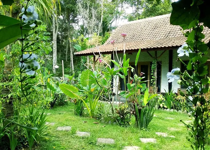 Jungle House - Surf & Hostal Pulukan