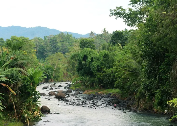Jungle House - Surf & * Pulukan