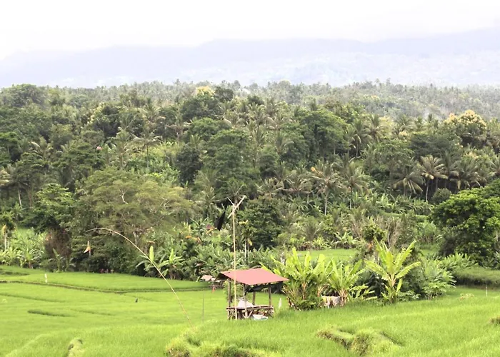 Jungle House - Surf & Hostal *