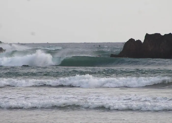 Jungle House - Surf &