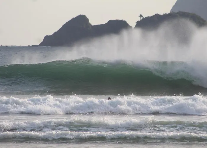 Hostal Jungle House - Surf &