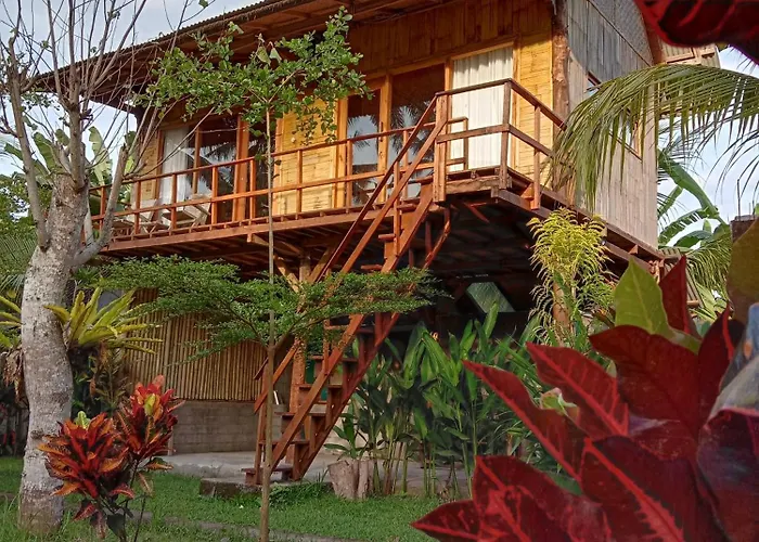 Jungle House - Surf & Hostal Pulukan