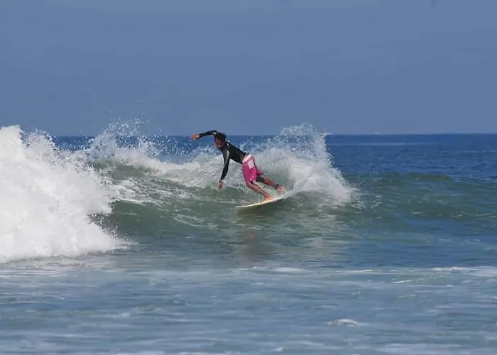 Jungle House - Surf & * Pulukan