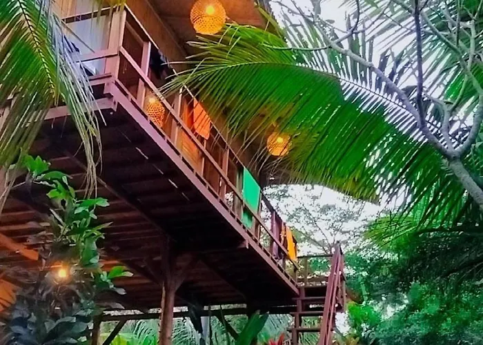 Hostal Jungle House - Surf & *