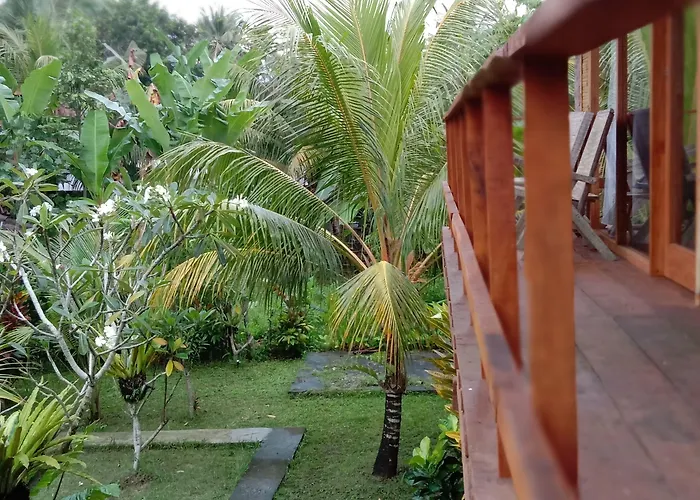 Hostal Jungle House - Surf & *