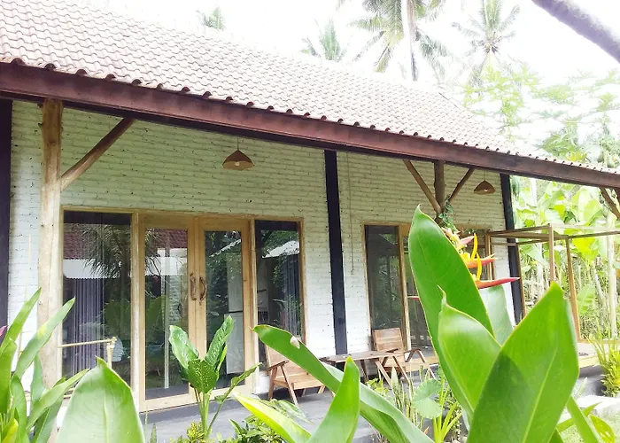 Hostal Jungle House - Surf & *