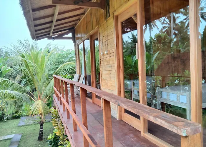 Jungle House - Surf & *