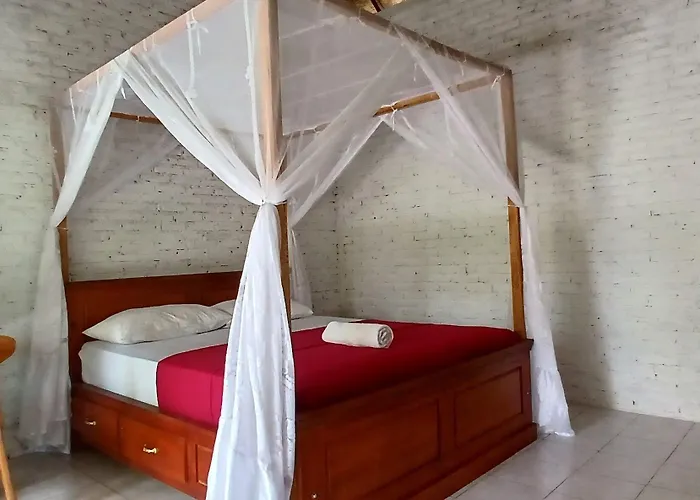 Hostal Jungle House - Surf & *