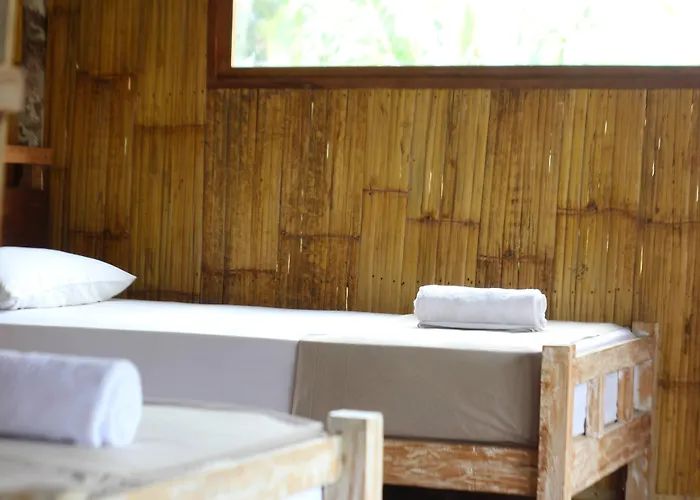 Hostal Jungle House - Surf & Pulukan