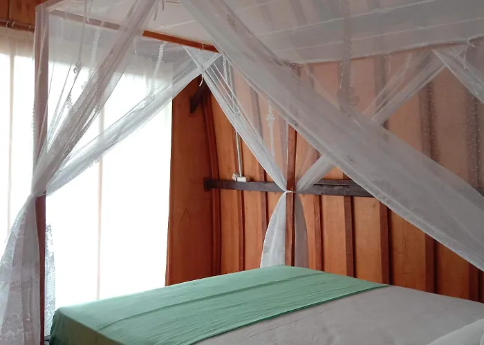 Hostal Jungle House - Surf &