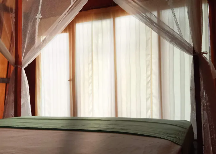 Jungle House - Surf & Hostal *