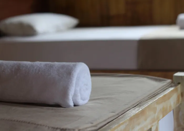 Hostal Jungle House - Surf & Pulukan