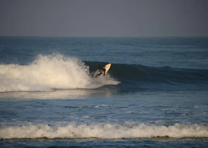 Jungle House - Surf & Hostel *