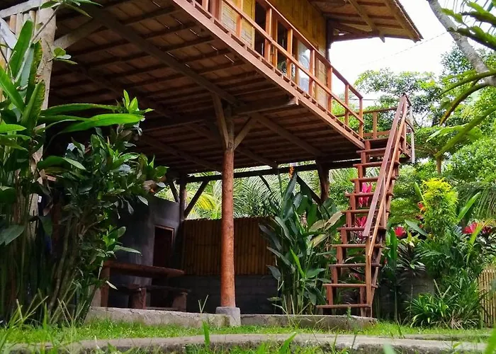 Jungle House - Surf & Hostal