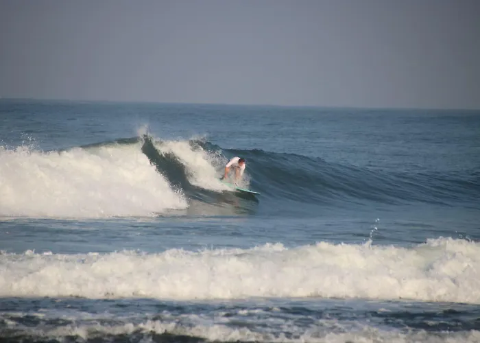 Jungle House - Surf &