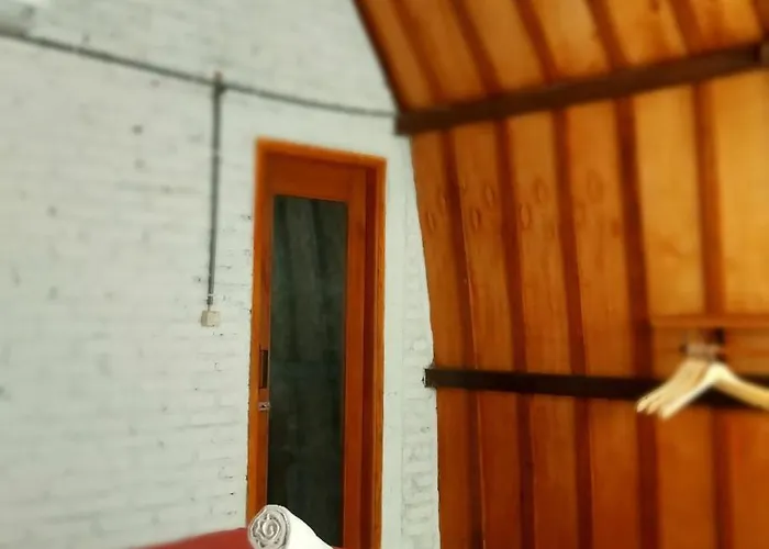 Hostal Jungle House - Surf & *