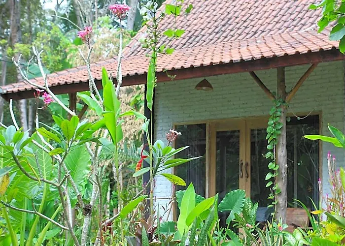 Hostal Jungle House - Surf & *