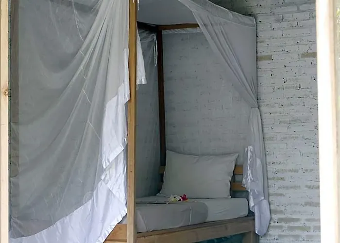 Hostal Jungle House - Surf & *