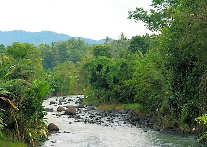 Hostal Jungle House - Surf &