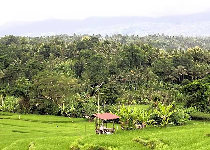 Jungle House - Surf & Hostal *