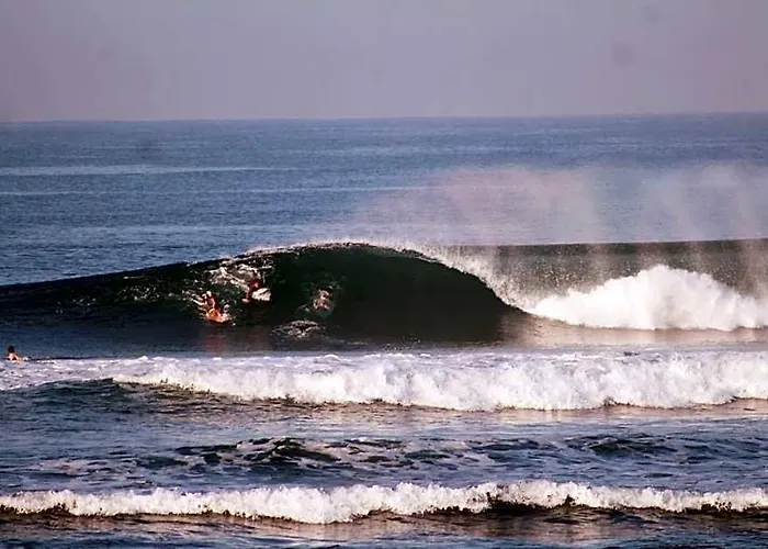 Jungle House - Surf & Hostal *