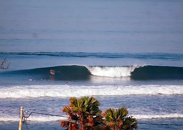 Jungle House - Surf & Hostel *