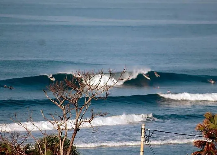 Jungle House - Surf & Pulukan