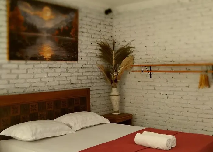 Jungle House - Surf & Hostal *