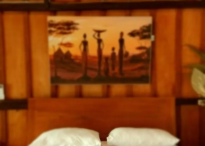 Jungle House - Surf & Hostal