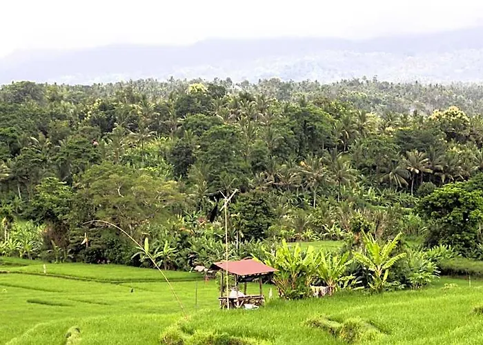 Jungle House - Surf & *