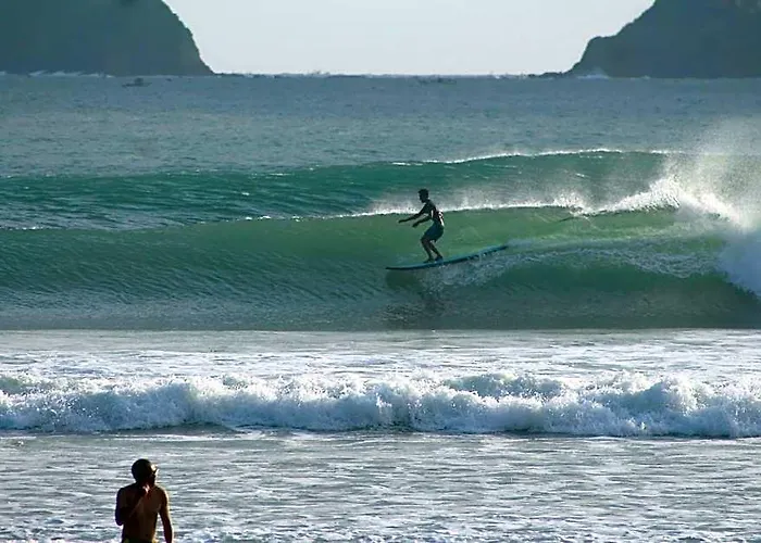 Hostel Jungle House - Surf &