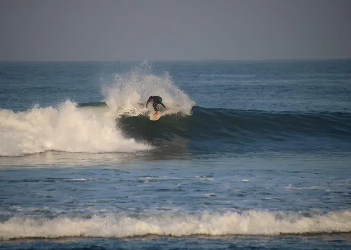Jungle House - Surf & Pulukan