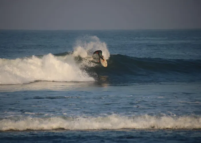 Jungle House - Surf & *